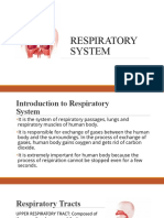 Respiratory System