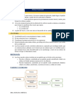 Tema 1.1. Eafs de Fosas Nasales y Senos Paranasales PDF