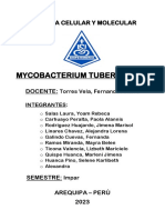 Mycobacterium Tuberculosis PDF