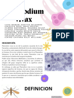 Plasmodium Vivax PDF