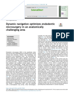 Artigo 13 PDF