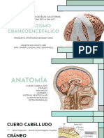 Traumatismo Craneoencefálico: Universidad Autónoma de Baja California Facultad de Ciencias de La Salud