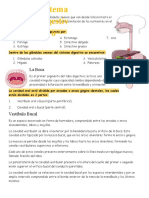 Video de Cavidad Oral LABORATORIO