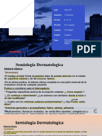 Piel y Anexos PDF