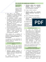Capítulo 12 PDF
