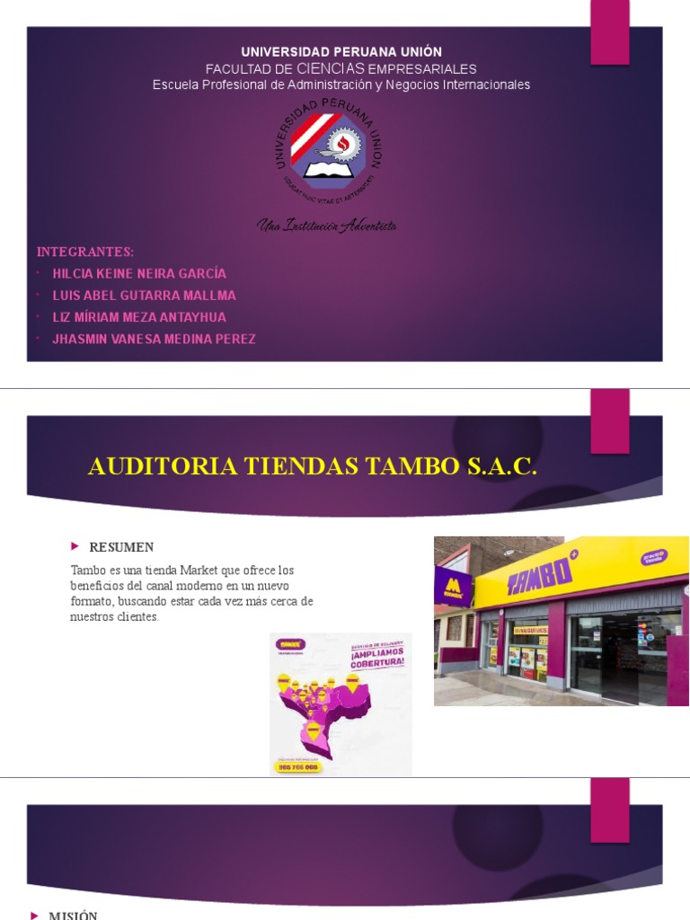 Auditoria Ppt Final Pdf