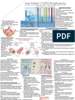 Week 27-COPD PDF