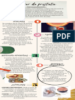 CANCER DE PROSTATA Infografia PDF