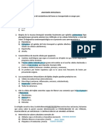 Anatomía Patologica. MIS RESPUESTAS PDF