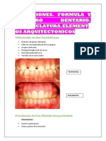 Denticiones PDF