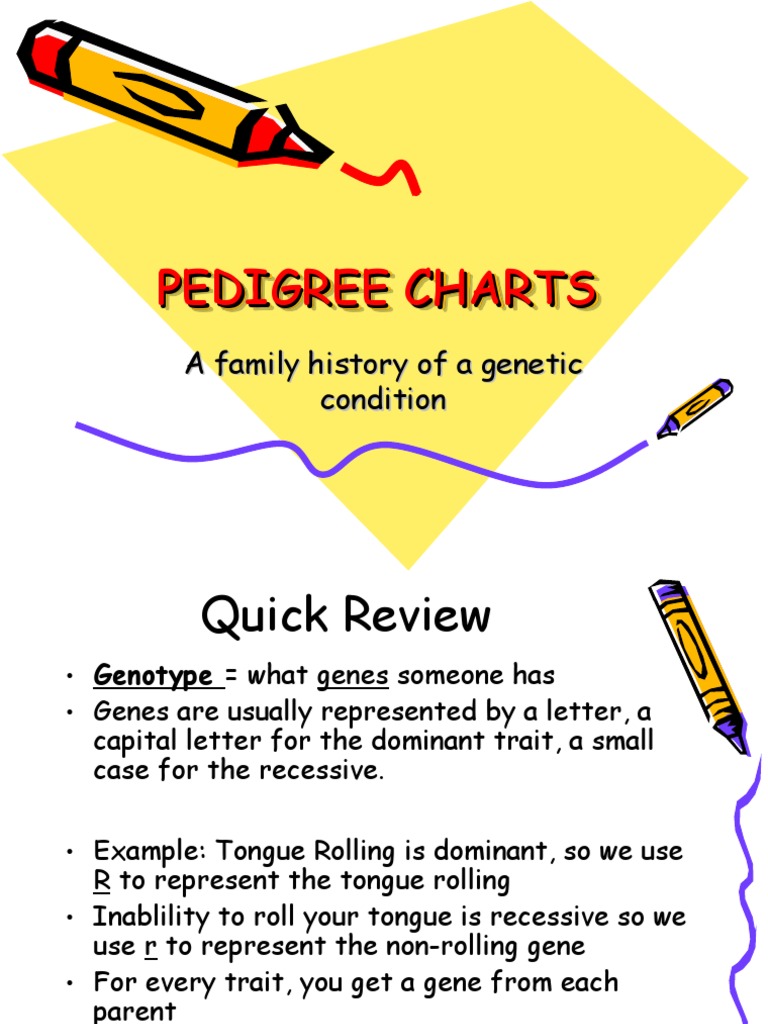 Understanding Pedigree Charts in Genetics | PDF | Foreign Language Studies