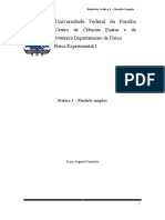 Relatorio - 3 - Pendulo Simples Edição