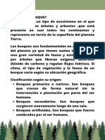 ¿Qué Es Un Bosque PDF