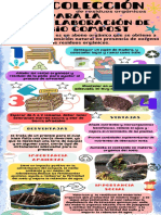 Compostaje PDF