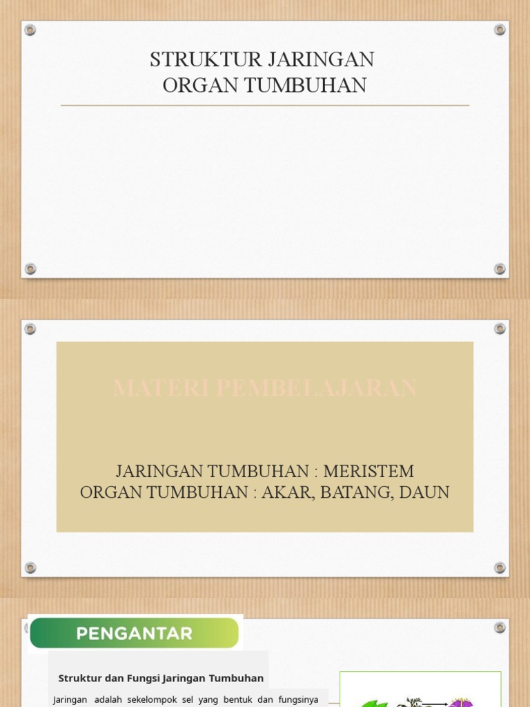 Jaringan Tumbuhan Pdf