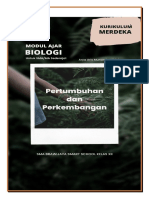 RPP Modul Ajar Siklus 2 PDF