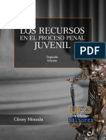 Los Recursosen El Proceso Penal Juvenil