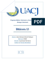 Bitácora 13 PDF