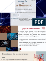 La estructura y función de la neurona