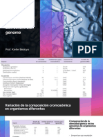 Estructura Del Genoma y Replicación de ADN PDF