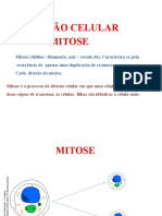 Mitose