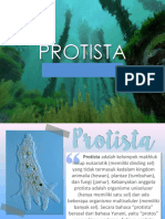 Protista PDF