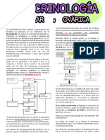 8.2 Endocrinología Testicular y Ovárica PDF