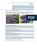 URA Ficha Ipomoea Indica Campanilla PDF