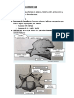 Fisiologia y Anatomia Resumen