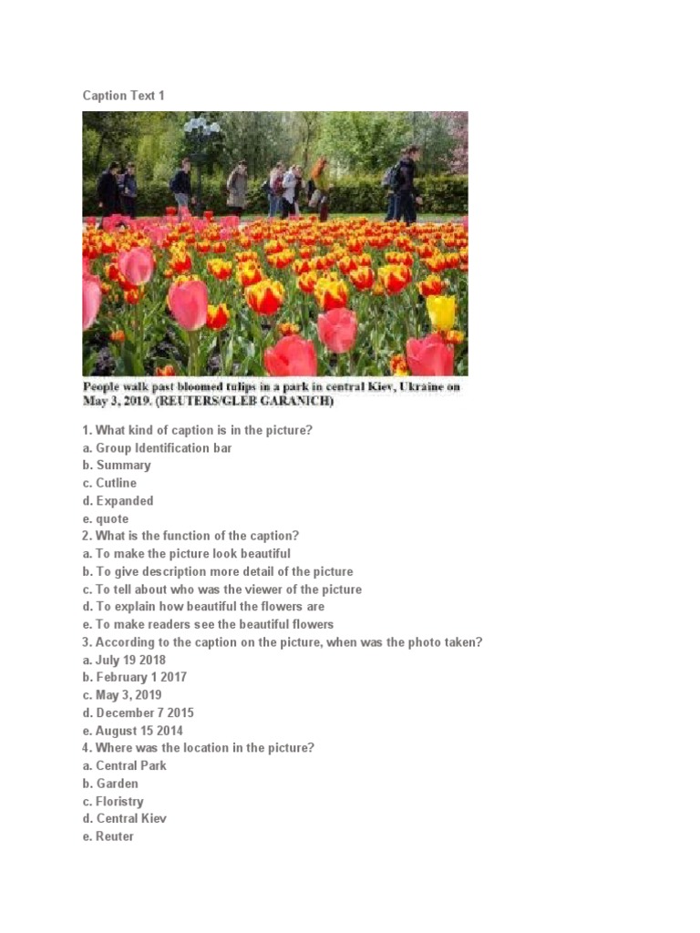 Analyzing Captions Understanding the Purpose and Meaning Behind Image Descriptions PDF Jakarta