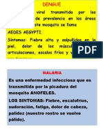 Enfermedades virales transmitidas por mosquitos y sus síntomas