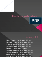 Transkripsi Pada Eukariot