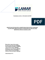 Copia de Proyecto Salud Laboral PDF