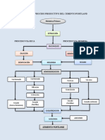 Diagrama Del Proceso Productivo Del Cemento Portland