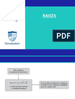 Raices PDF