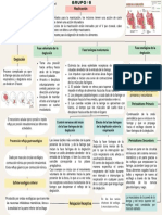 GRUPO 6-Masticación PDF