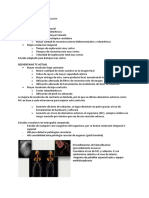 Clase 11 - Tecnicas de Inyeccion