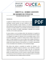 Ensayo Sobre Un Dilema Ético Ambiental PDF