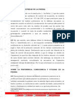 Modelo Escrito Prueba Nueva Penal