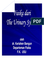 Gus156 Slide Fisika Dari The Urinary System PDF