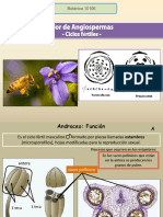 Flor Ciclos Fertiles 2023 PDF