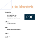 Trabajo de Experimento12 PDF