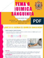 Tema 6 Quimica Sanguinea PDF