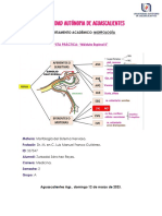 Parcial 1 Pract5 M.E. 2 Neuro ZSR 12mar2023 PDF