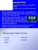 Fisio Sistem Syaraf PDF