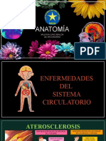 ENFERMEDADES CARDIOVASCULARES-bio