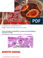 Balentidiasis Coli