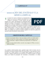 Circulación Cerebral PDF