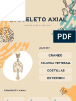 Esqueleto Axial