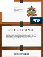 Aves de Doble Proposito